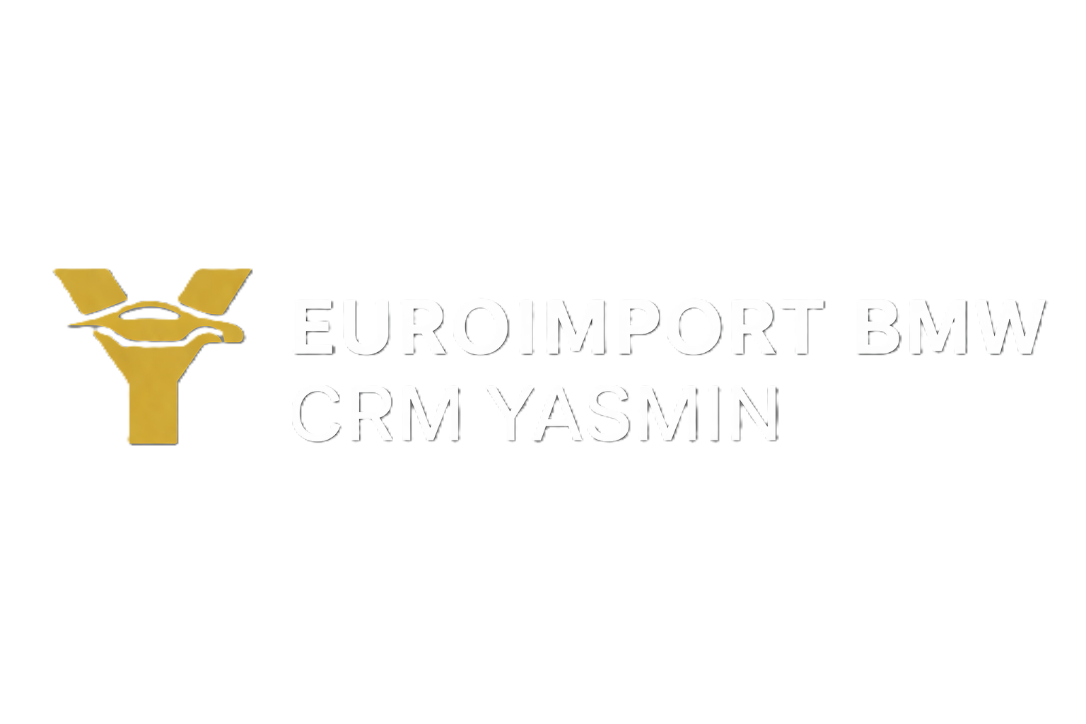 Euroimport BMW - CRM Yasmin