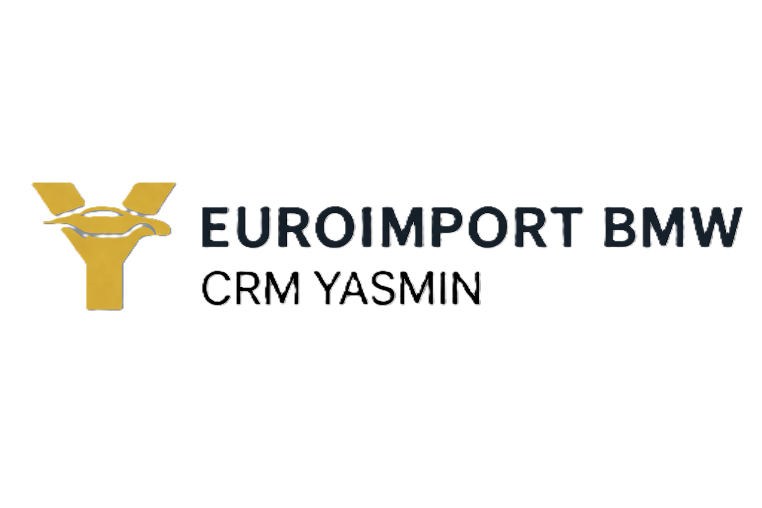 Euroimport BMW - CRM Yasmin